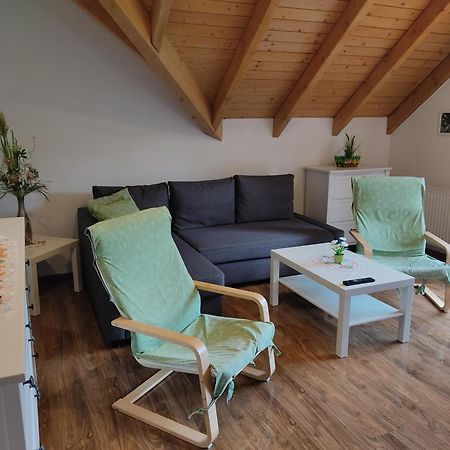 Gemuetliche Ferienwohnung Im Schoenen Erzgebirge - Wohnung Fruehling Eibenstock Exterior foto