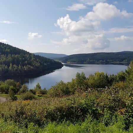 Gemuetliche Ferienwohnung Im Schoenen Erzgebirge - Wohnung Fruehling Eibenstock Exterior foto