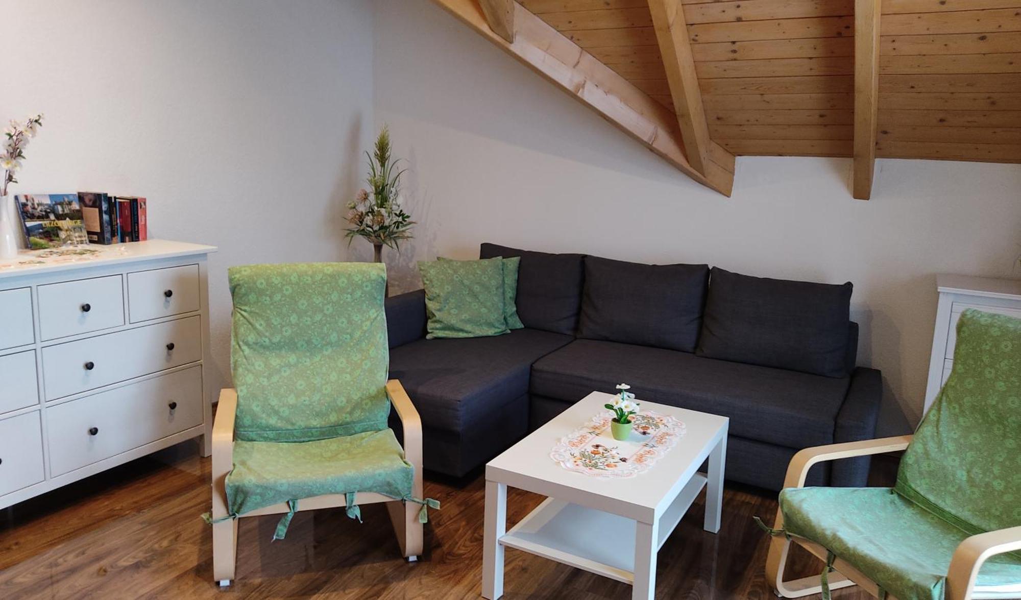 Gemuetliche Ferienwohnung Im Schoenen Erzgebirge - Wohnung Fruehling Eibenstock Exterior foto